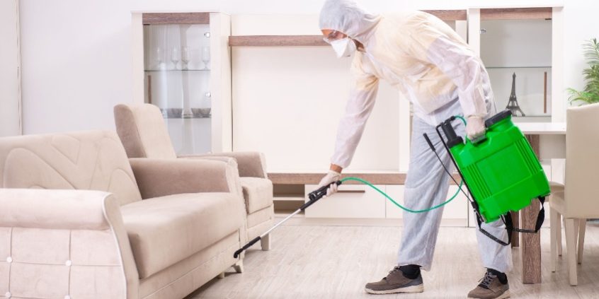 pest control brevard county pest control brevard county