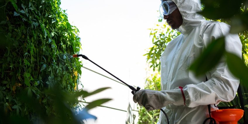 pest control brevard county florida pest control brevard county florida